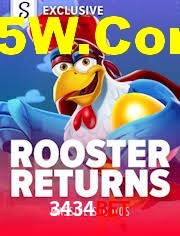 Crash Games Statistics 3434Bet